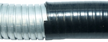 AP���塼�� ���� 30����